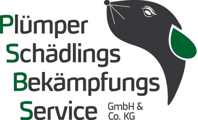 Plümper Schädlingsbekämpfungsservice aus Lindern Plümper Schädlingsbekämpfungsservice aus Lindern